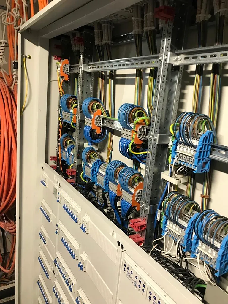 Control cabinet with completed wiring